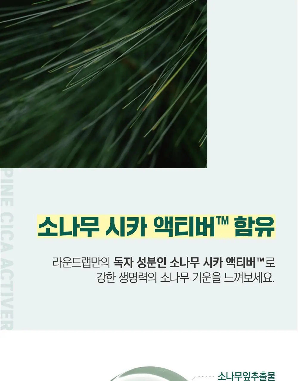 [번들모공] 라운드랩 포 맨 소나무 진정 토너/로션 2종 기획 (+클렌저 40ml 증정) 상세페이지 25